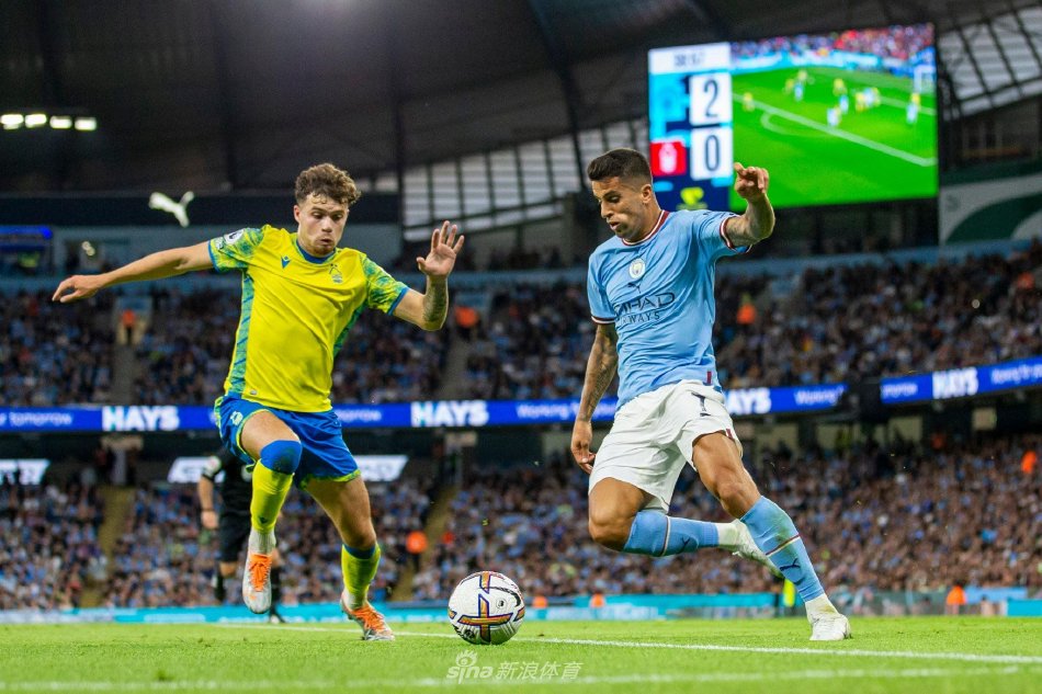 了职业足球 了职业足球